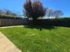 11 Holly Place, Orange NSW 2800-Image