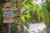 11 Hopbush Street, Palm Beach, Qld 4221-Image