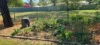 11 Hutt Street, St George, Qld 4487-Image