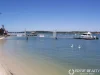 11 Indra Avenue, Bellara, Qld 4507-Image