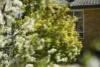 11 Irene Avenue, Queanbeyan, NSW 2620-Image
