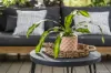 11 Ivanhoe Street, Golden Bay, WA 6174-Image