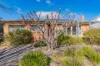 11 Jennings Street, Curtin, ACT 2605-Image