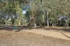 11 Kabiana Way, Dayton, WA 6055-Image