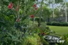 11 Knightsbridge Place, Castle Hill, NSW 2154-Image