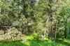 11 Koombahla Drive, Tallebudgera, Qld 4228-Image
