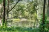11 Koombahla Drive, Tallebudgera, Qld 4228-Image