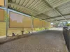 11 Larapinta Drive, Gillen, NT 0870-Image