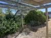 11 Laube Street, Cummins, SA 5631-Image