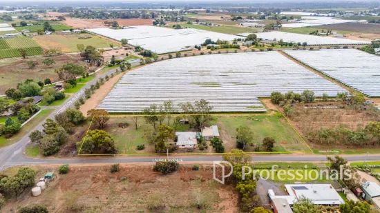 11 Laurel Avenue, Nichols Point, Vic 3501