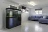 11 Leahy Street, Beaconsfield, Qld 4740-Image