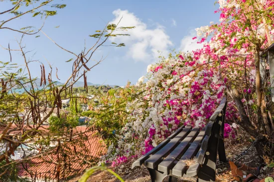11 Little Street, Belgian Gardens, Qld 4810-Image