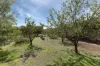 11 Long Court, Ladys Pass, Vic 3523-Image