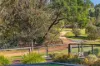 11 Lorimer Drive, Eastwood, Vic 3875-Image