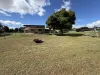 11 Macaulay Drive, Booie, Qld 4610-Image