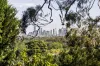 11 Maltravers Road, Ivanhoe East, Vic 3079-Image
