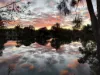 11 MARINA CRESCENT, Urunga, NSW 2455-Image