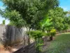 11 Marino Close, Redlynch, Qld 4870-Image