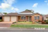 11 McFarlane Avenue, Mitchell Park, SA 5043