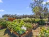 11 McKenna Drive, Cardup, WA 6122-Image