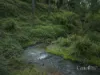 11 Merewether Close, North Rothbury, NSW 2335-Image