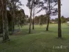 11 Merewether Close, North Rothbury, NSW 2335-Image