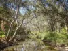 11 Mersey Street, Gilberton, SA 5081-Image
