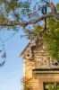 11 Mona Street, Battery Point, Tas 7004-Image