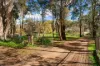 11 Monks Hill Road, Chewton, Vic 3451-Image