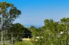 11 Monterey Avenue, Thornlands, Qld 4164-Image
