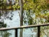 11 Moomba Street, Pacific Paradise, Qld 4564-Image