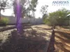 11 Myall Street, Roxby Downs, SA 5725-Image