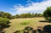 11 Nelson Street, Maldon, Vic 3463-Image