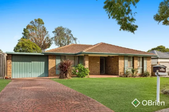 11 Netherplace Drive, Frankston, Vic 3199