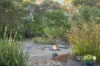 11 Orchid Ramble, Margaret River, WA 6285-Image