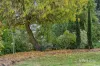 11 Parkin Street, Allendale, Vic 3364-Image