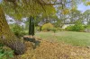 11 Parkin Street, Allendale, Vic 3364-Image