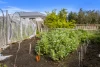 11 Pelham Street, Sorell, Tas 7172-Image