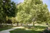 11 Pennell Road, Claremont, WA 6010-Image