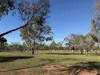 11 Prunster Road, York, WA 6302-Image