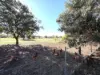 11 Prunster Road, York, WA 6302-Image