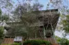 11 Quahlee Grove, Karana Downs, Qld 4306-Image