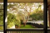11 Quentin Street, Chapel Hill, Qld 4069-Image