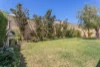 11 Redheart Way, Beeliar, WA 6164-Image