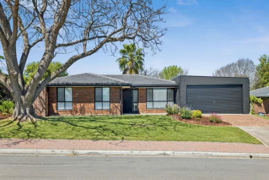 11 Reisling Road, Wynn Vale, SA 5127