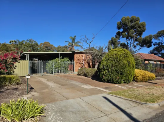 11 Rhus Avenue, Elizabeth Vale, SA 5112