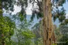 11 Riverside Drive, Warburton, Vic 3799-Image