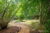 11 Riverside Drive, Warburton, Vic 3799-Image