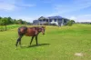 11 Riviera Place, Sancrox, NSW 2446-Image