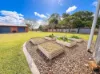 11 Rustic Road, Sharon, Qld 4670-Image